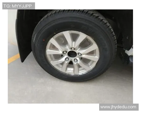 上海网球队在洲际杯积分榜上以97分稳居第一名展现强劲实力